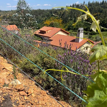 Appartamento Quinta Dos Milagres Casa Terrassa