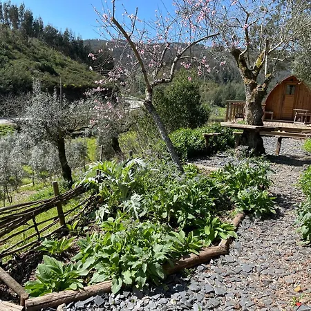 Quinta Dos Milagres Casa Terrassa Appartamento *